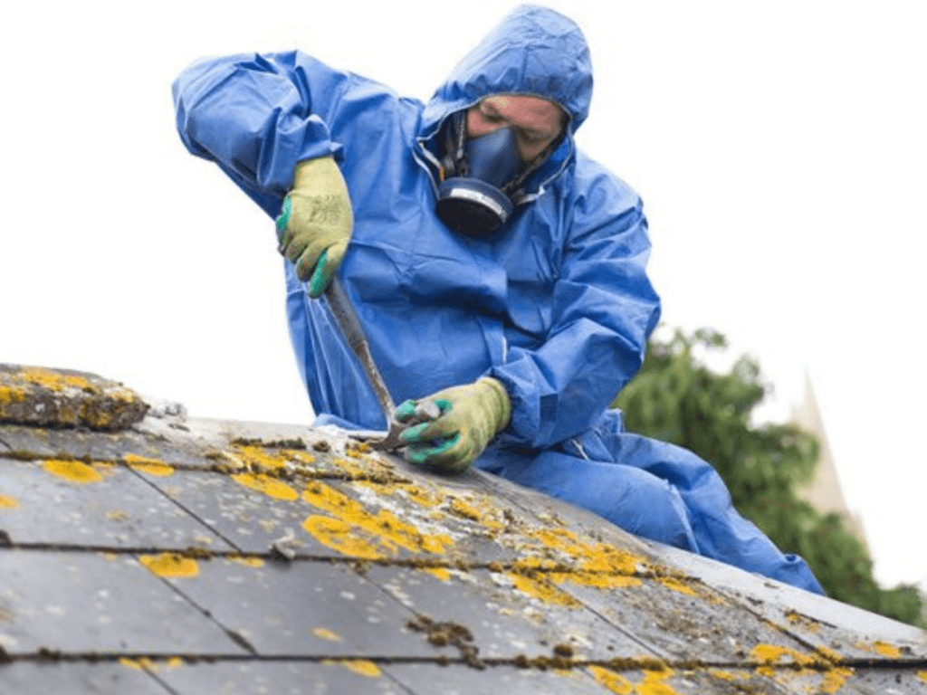 Copy of Untitled Design (2)