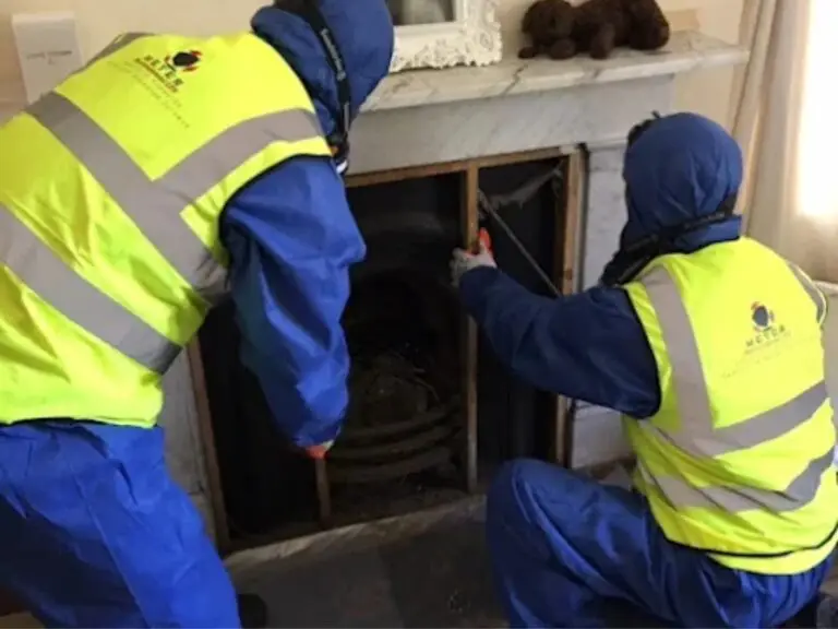 Copy of Untitled Design (3)