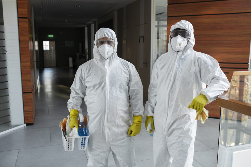 asbestos removal